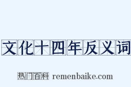 文化十四年反义词是什么意思的图片